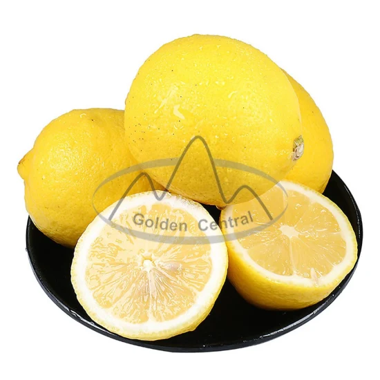 Citron frais de haute qualité, citron frais pour boissons, fruits, Agriculture, citron frais